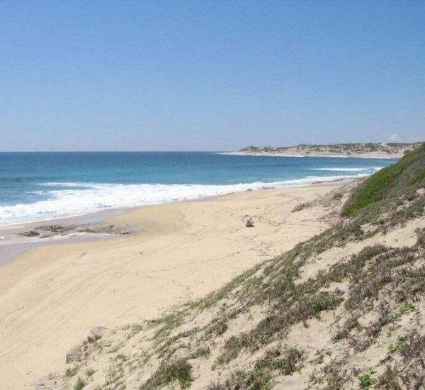 East Cape, ,Land,For Sale,Shipwreks Beach Front,23-2766