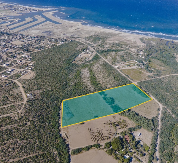 The Pines, East Cape, ,Land,For Sale,The Pines,23-4742