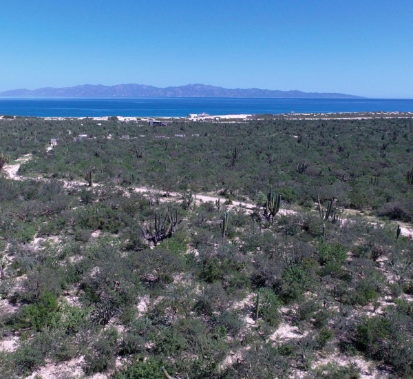 south beach, La Paz, ,Land,For Sale,Large investment property,south beach,20-854