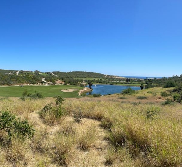61 El Altillo, San Jose del Cabo, ,Land,For Sale,Golfers Paradise,El Altillo,24-1150