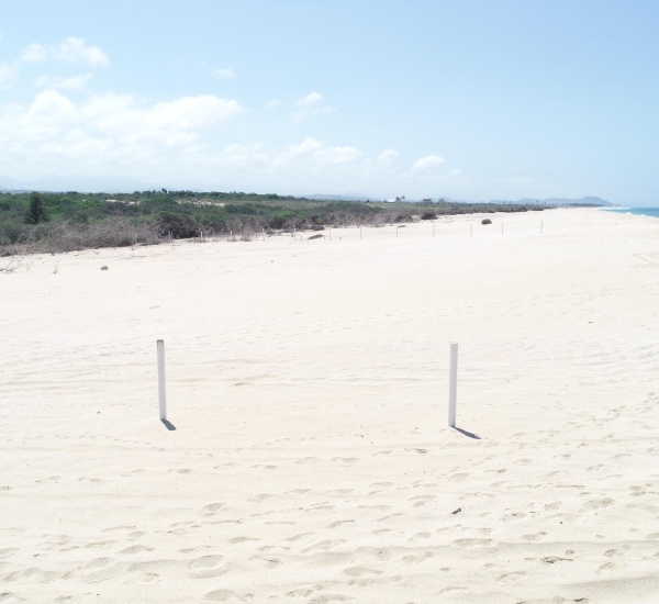 Pacific, ,Land,For Sale,Todos Santos beachfront,24-1309