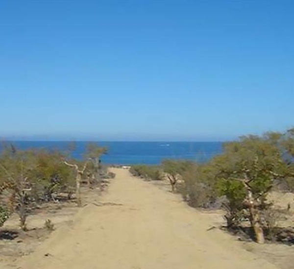 Monte Sereno lot 12, East Cape, ,Land,For Sale,Monte Sereno lot 12,21-257