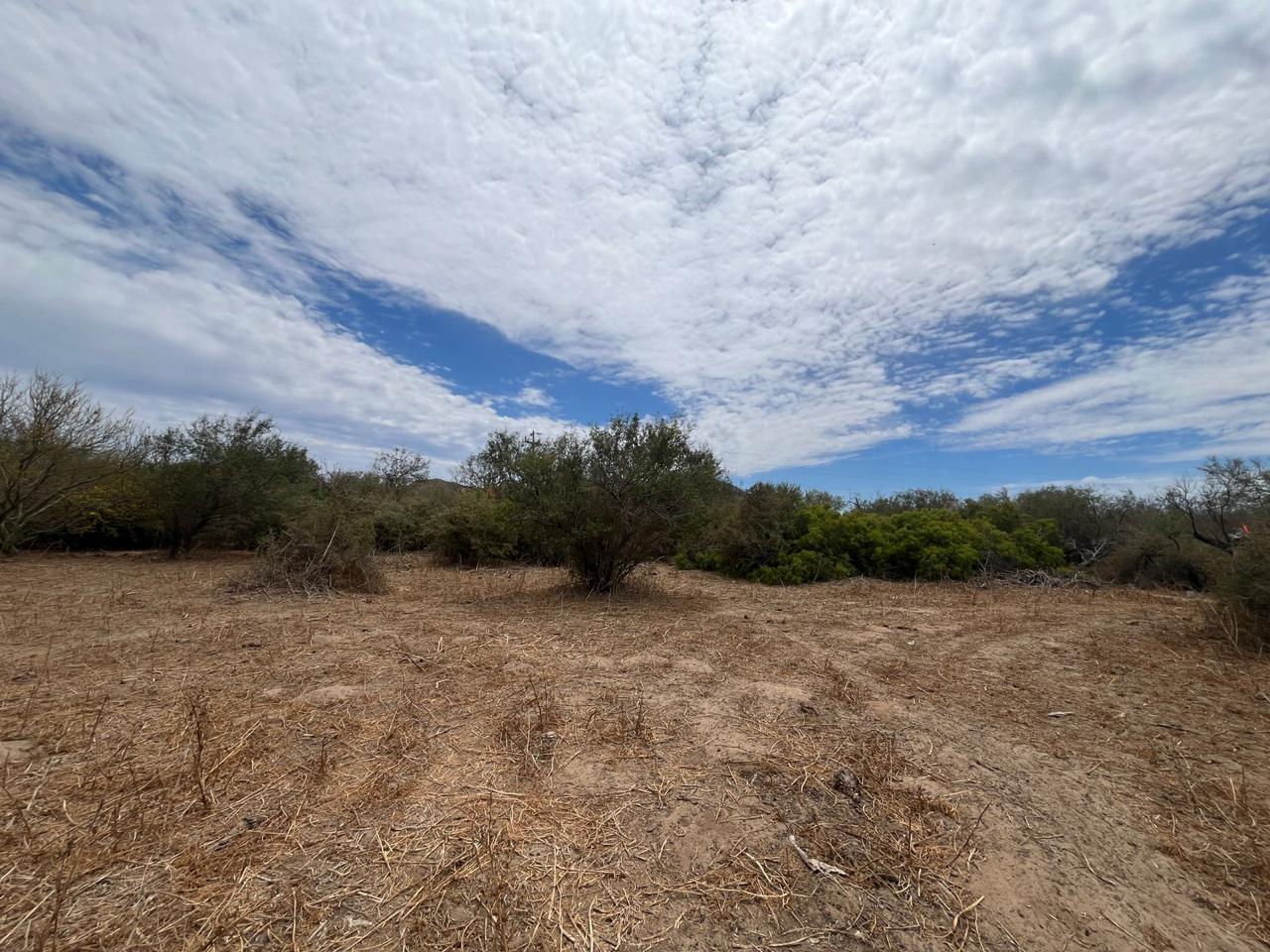 East Cape South LOTE 96 MANZANA 01, ,Land,For Sale,LOTE LOS MARTIRES 96,LOTE 96,24-3267