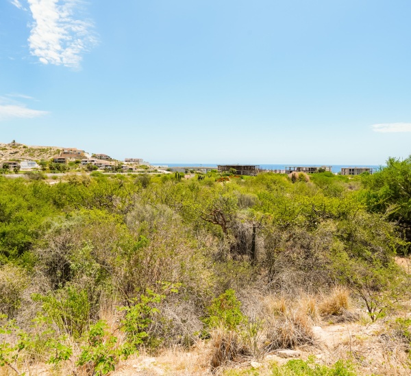 23 Vista Lagos, San Jose del Cabo, ,Land,For Sale,Club Campestre, Vista Lagos lo,Vista Lagos,24-3774